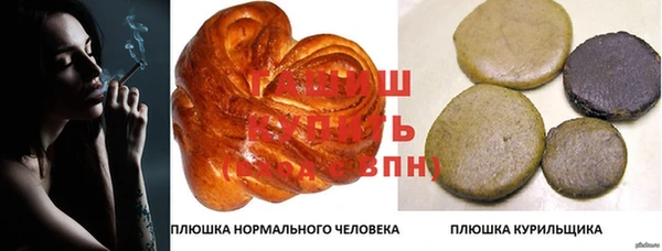 дмт Верея