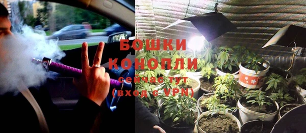ПСИЛОЦИБИНОВЫЕ ГРИБЫ Волоколамск