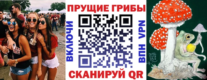 площадка телеграм  Верхний Уфалей  Псилоцибиновые грибы мицелий  магазин продажи наркотиков 